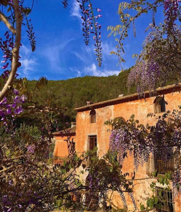 Villa Catalina Aka Villa Almanita Sant Pere De Ribes Extérieur photo